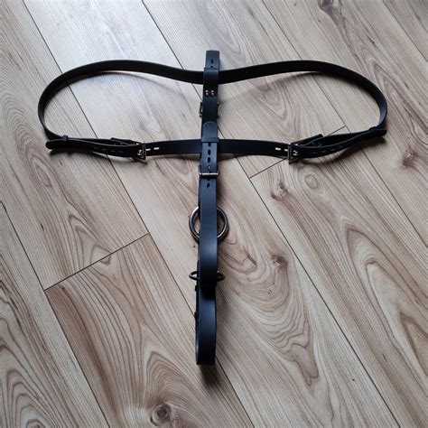 Locking Tunnel Plug or Tail Harness .
